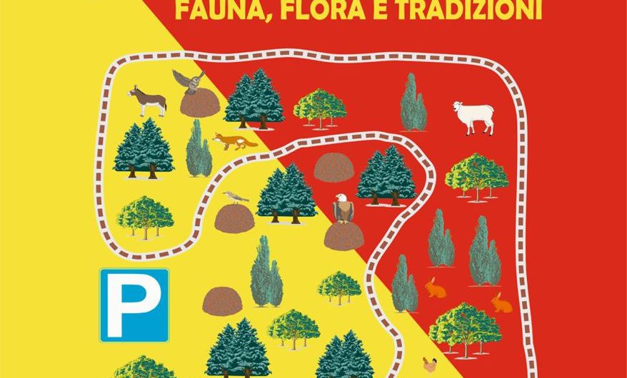 Escursioni Etna per famiglie